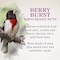 Global Harvest Foods Songbird Selections Wild Bird Nuts Bird Seed 10 lb 13636 - alternate 3